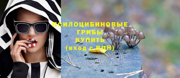стаф Бугульма