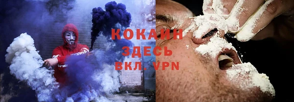 дурь Бородино