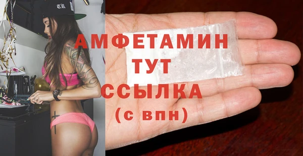 шишки Верея