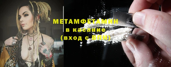 дурь Бородино