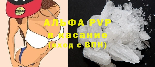 дурь Бородино