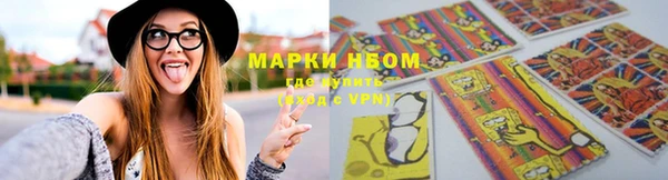 стаф Бугульма
