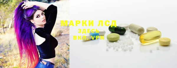 дурь Бородино