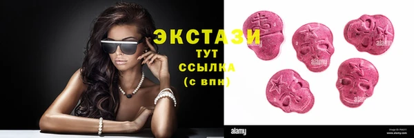 шишки Верея