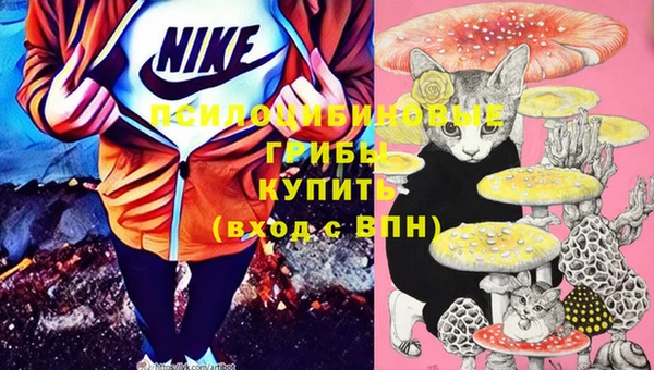 бошки Бронницы