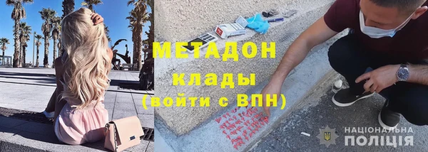 шишки Верея