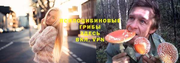 шишки Верея