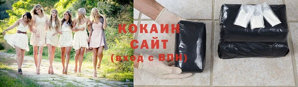 дурь Бородино